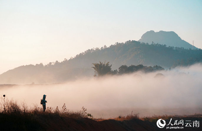 สวย! ทัศนียภาพยามเช้าในฤดูหนาวของอำเภอหนิงเอ่อร์ดูคล้ายภาพวาดหมึกจีน