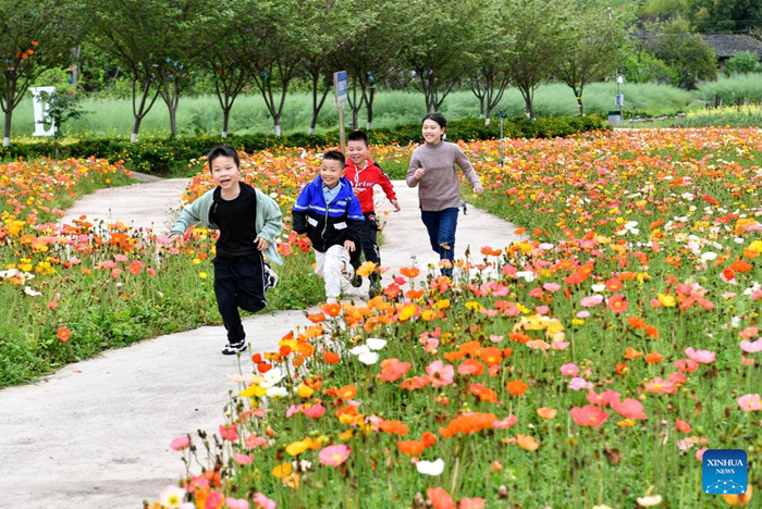 ประชาชนทั่วจีนเที่ยวในวันหยุดเทศกาลเชงเม้ง