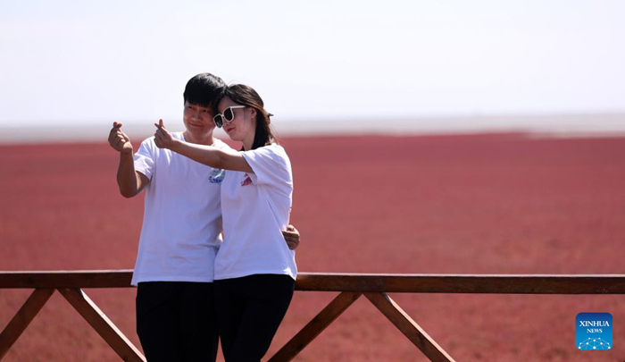 ชายหาดสีแดง “หงไห่ทัน” เมืองผานจิ่นดึงนักท่องเที่ยวด้วยภูมิประเทศที่มีเอกลักษณ์