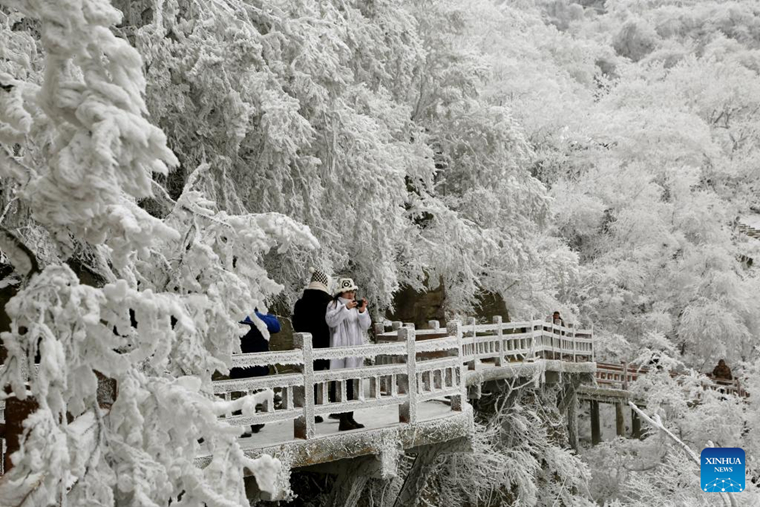 ผู้คนเพลิดเพลินกับทัศนียภาพอันสวยงามของเกล็ดหิมะเยือกแข็งบนภูเขาอวิ๋นไถซาน ในเมืองเหลียนอวิ๋นกั่ง มณฑลเจียงซู ทางตะวันออกของจีน เมื่อวันที่ 21 มกราคม 2567 (ซินหัว/หวาง ชุน)