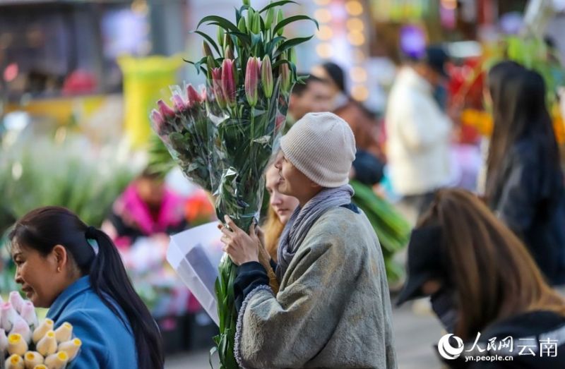 ประชาชนหาซื้อดอกไม้ในตลาดดอกไม้โต่วหนานในเมืองคุนหมิง มณฑลยูนนาน ทางตะวันตกเฉียงใต้ของจีน เมื่อวันที่ 2 ก.พ. 2567 (พีเพิลส์ เดลี่ ออนไลน์/หู จุนฮุย)