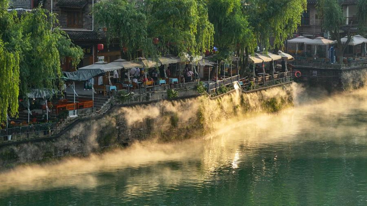 เวนิสแห่งตะวันออก: เมืองโบราณเจิ้นหย่วน