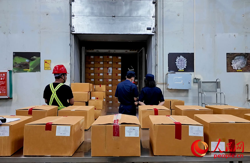 ท่าเรือกว่างซี ทางตอนใต้ของจีน กลายเป็นศูนย์กลางหลักในการนำเข้าผลไม้จากอาเซียน