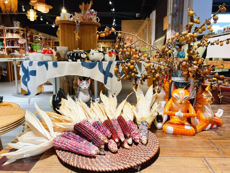 ข้าวโพดประดับนำความมั่งคั่งมาสู่เกษตรกรในมณฑลยูนนาน ทางตะวันตกเฉียงใต้ของจีน