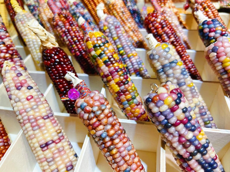 ข้าวโพดประดับนำความมั่งคั่งมาสู่เกษตรกรในมณฑลยูนนาน ทางตะวันตกเฉียงใต้ของจีน