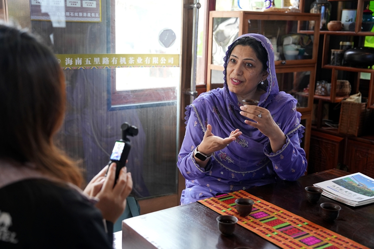 วัฒนธรรมชาออร์แกนิกของไป๋ซา ดึงดูดผู้เชี่ยวชาญชาวต่างชาติ