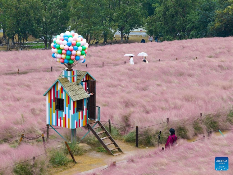 วันฤดูใบไม้ร่วงสีทองดึงดูดผู้คนให้ออกไปสัมผัสบรรยากาศกลางแจ้งทั่วจีน