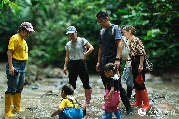 ผู้ปกครองและเด็ก ๆ เข้าร่วมกิจกรรมในป่าฝนที่นำโดยไกด์ท้องถิ่นในตำบลจีนั่วซาน เมืองจิ่งหง แคว้นปกครองตนเองสิบสองปันนา กลุ่มชาติพันธุ์ไท มณฑลยูนนาน ทางตะวันตกเฉียงใต้ของจีน (พีเพิลส์ เดลี่ ออนไลน์)