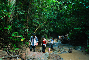 การเดินป่าในป่าฝนช่วยกระตุ้นเศรษฐกิจในมณฑลยูนนาน