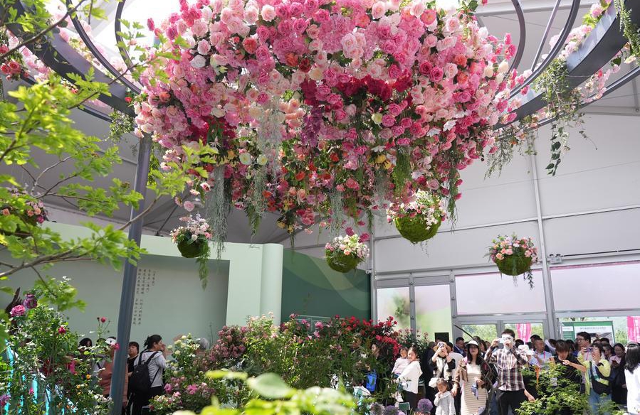 กุหลาบอวกาศจีนเจริญงอกงามผ่านภารกิจบนวงโคจรแห่งประวัติศาสตร์