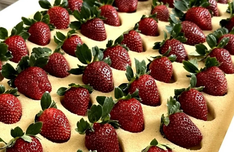 “สตรอว์เบอร์รีดำ” ในจีนราคาพุ่งถึง 600 หยวนต่อกิโลกรัม