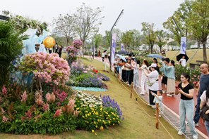 งานแสดงดอกไม้เขตอ่าวใหญ่กวางตุ้ง-ฮ่องกง-มาเก๊า เปิดฉากขึ้น ณ เมืองเซินเจิ้น